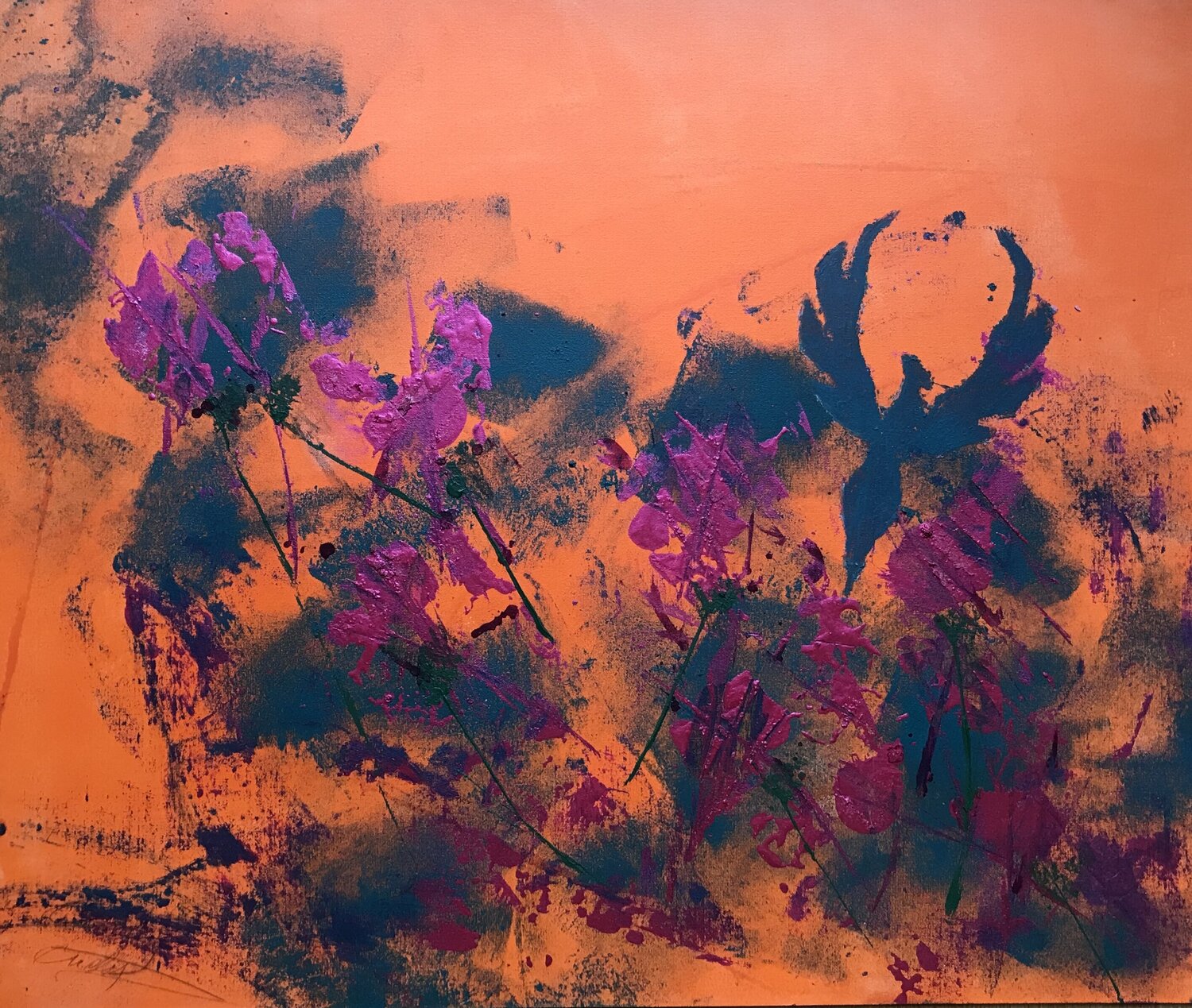 VIOLETS Andrea Holl