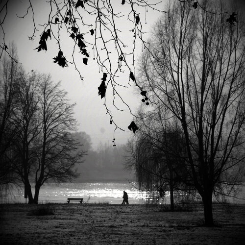 Am Rain, Fluß, Wiesbaden, Abend, Dämmerung, Ein Paar, Spaziergang, schwarz-weiß Bild von Michael Lebed, Fotografie kaufen auf Singulart