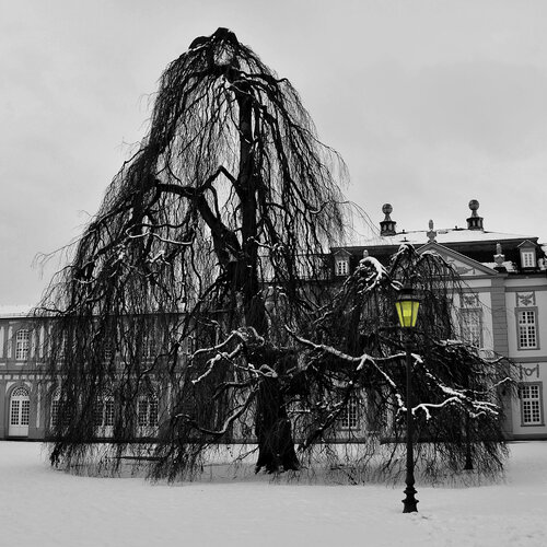 Wiesbaden-Biebrich, Deutschland de Michael Lebed, Fotografía a la venta en Singulart