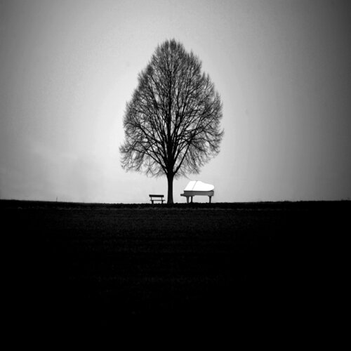 Feld par Michael Lebed, Digital en vente sur Singulart