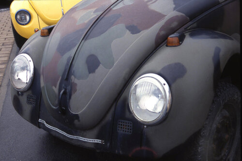 Käfer by Michael Lebed, Photography for Sale on Singulart