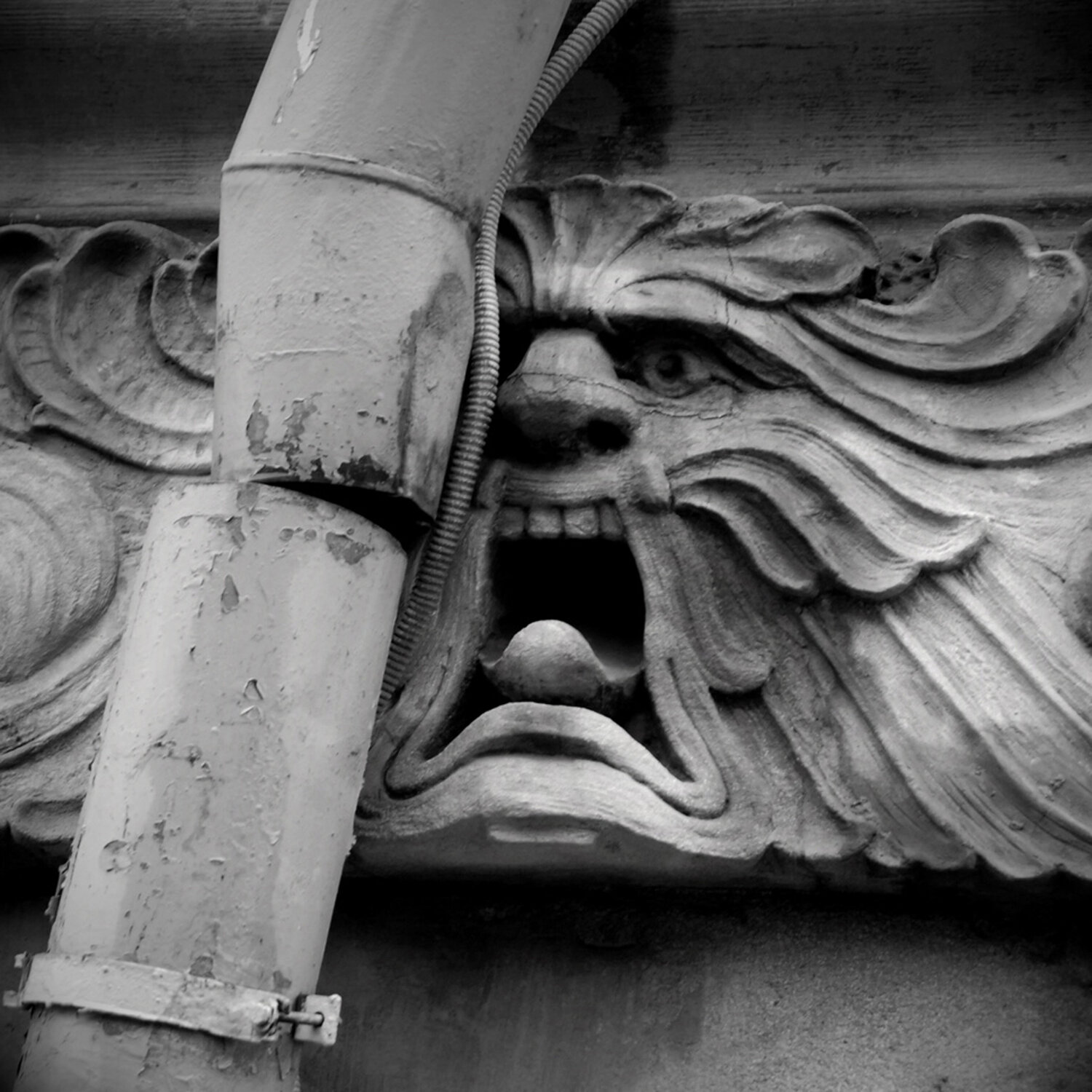 St.-Petersburg, Russland Michael Lebed