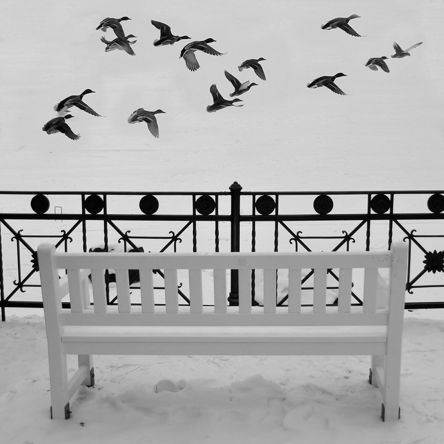 Wiesbaden, Kurpark Michael Lebed