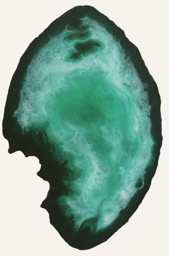 Structures of Life-Tide van Vanessa Jongebloet, Schilderij te koop op Singulart