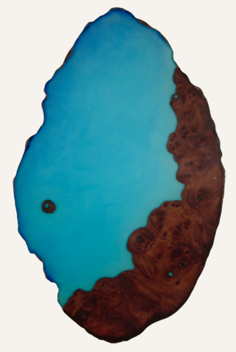 Structures of Life-Cove van Vanessa Jongebloet, Schilderij te koop op Singulart
