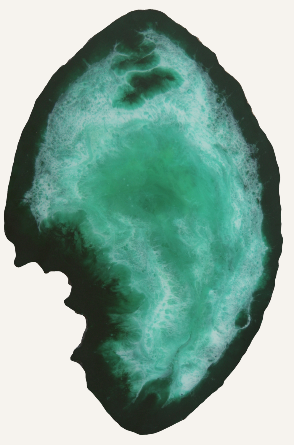 Structures of Life-Tide Vanessa Jongebloet