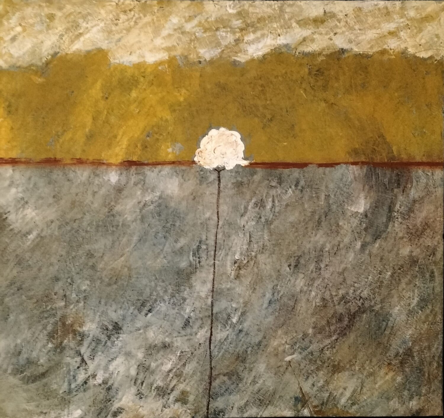 "fiore" Antonio Finocchiaro