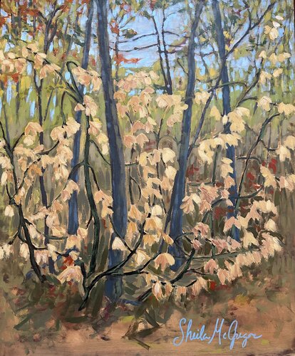 Moose Maple by Sheila McGregor, Painting for Sale on Singulart