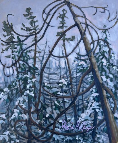 Old Winter Jack Pine by Sheila McGregor, Painting for Sale on Singulart