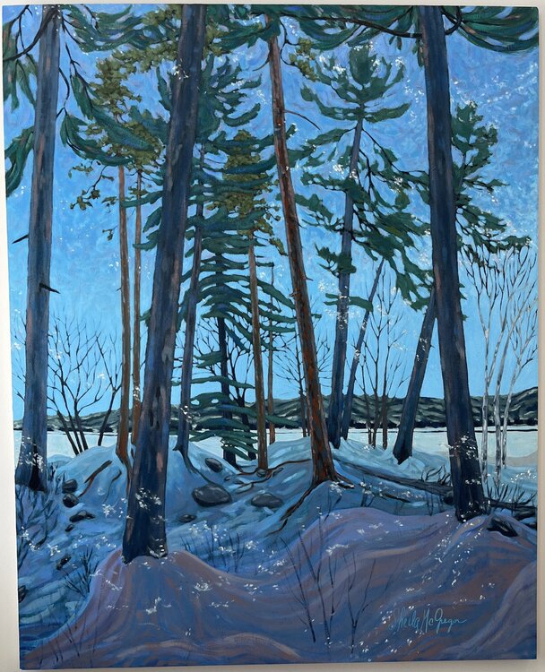 Sanctuary Sheila McGregor