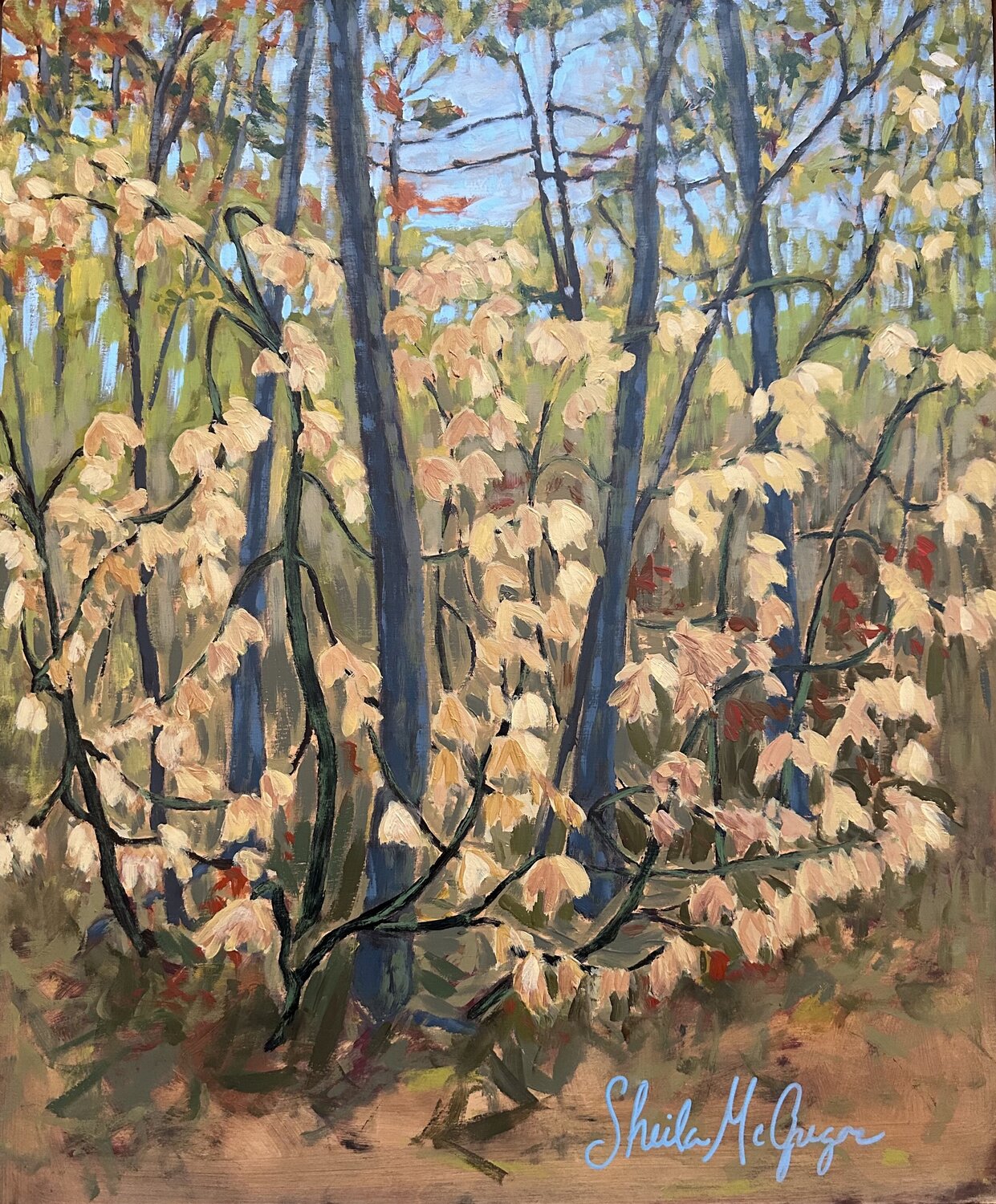 Moose Maple Sheila McGregor