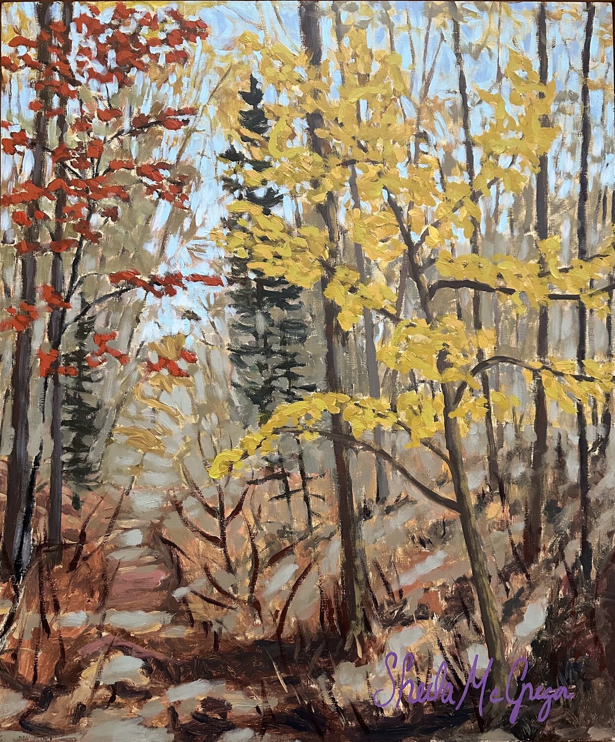 Maple and Beech Sheila McGregor