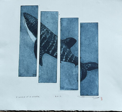 Whale of a Shark von Bonnie MAXEY, Druck kaufen auf Singulart