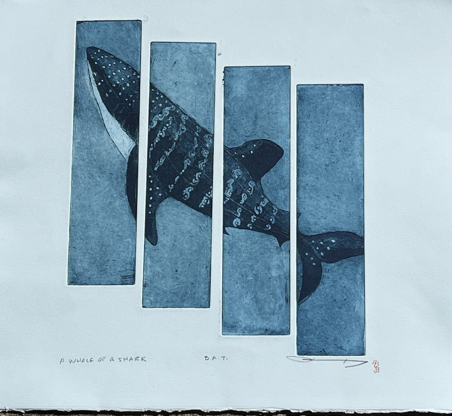 Whale of a Shark Bonnie MAXEY