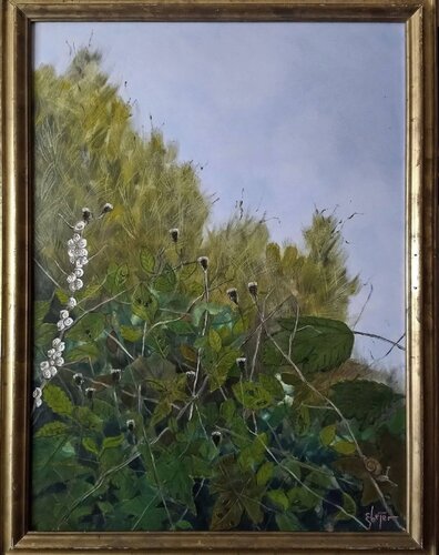 Undergrowth of the Mind di Damian Ebejer, Pittura in vendita su Singulart