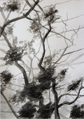 Branch study no.5 di Damian Ebejer, Opera su carta in vendita su Singulart