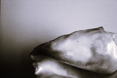 Sweet Curve - no. 1 di Damian Ebejer, Fotografia in vendita su Singulart