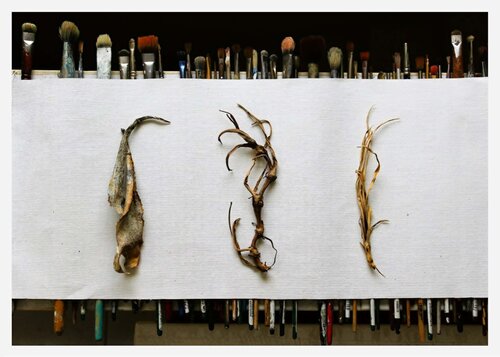 The Witch's brush-off de Damian Ebejer, Fotografía a la venta en Singulart