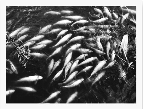 Memory of China no. 8 par Damian Ebejer, Photographie en vente sur Singulart