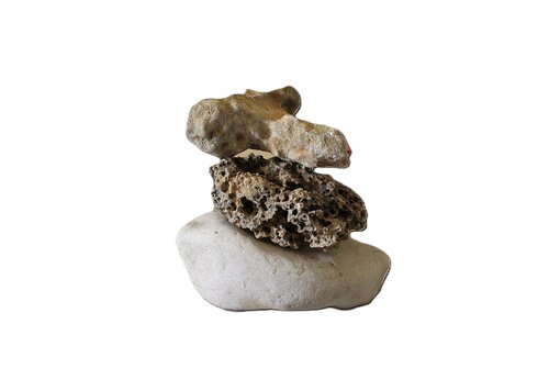Stages of Life - Blanc by Damian Ebejer, Photography for Sale on Singulart