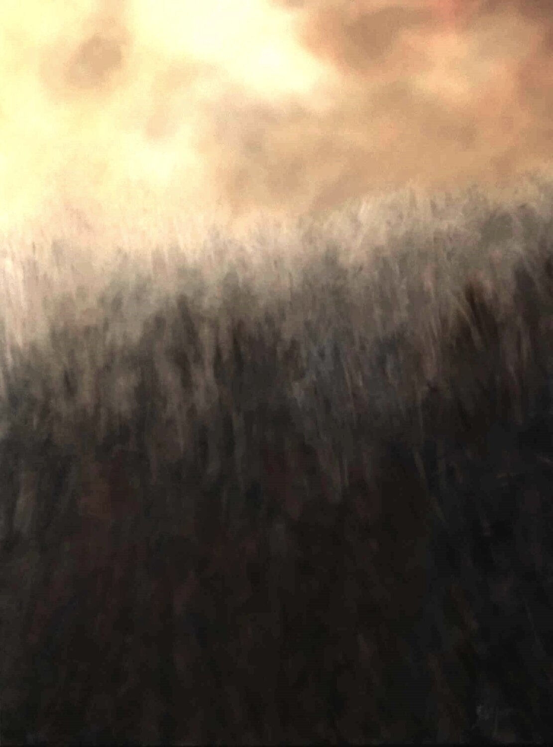 Fading Light of Aspiration Damian Ebejer