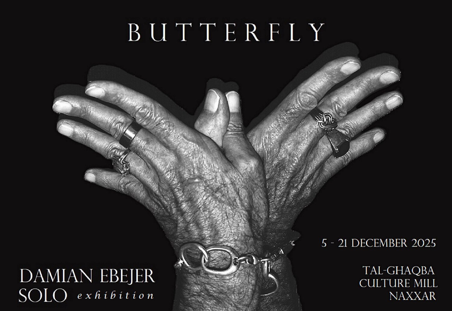Solo exhibition 2025- Butterfly. Damian Ebejer