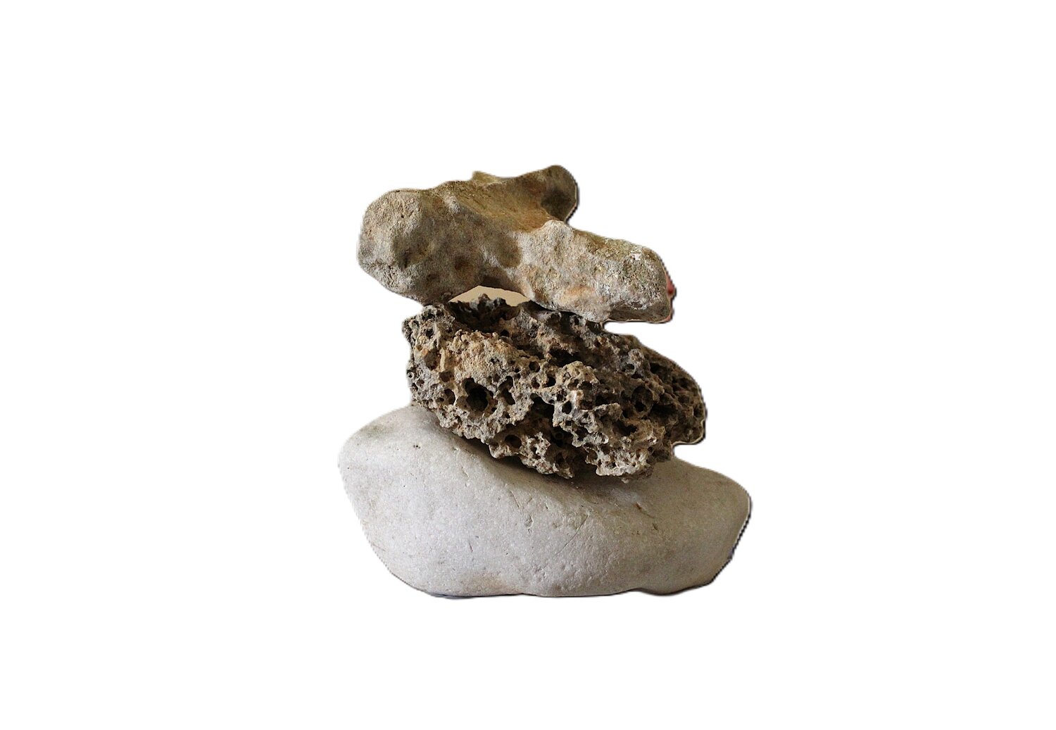 Stages of Life - Blanc Damian Ebejer Photography for sale