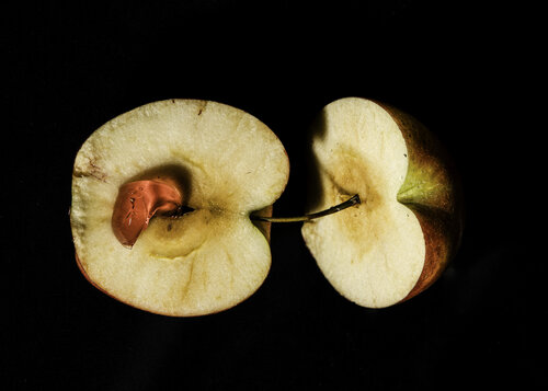 The Pulp of Life von Monica Oliveras Bancells, Fotografie kaufen auf Singulart