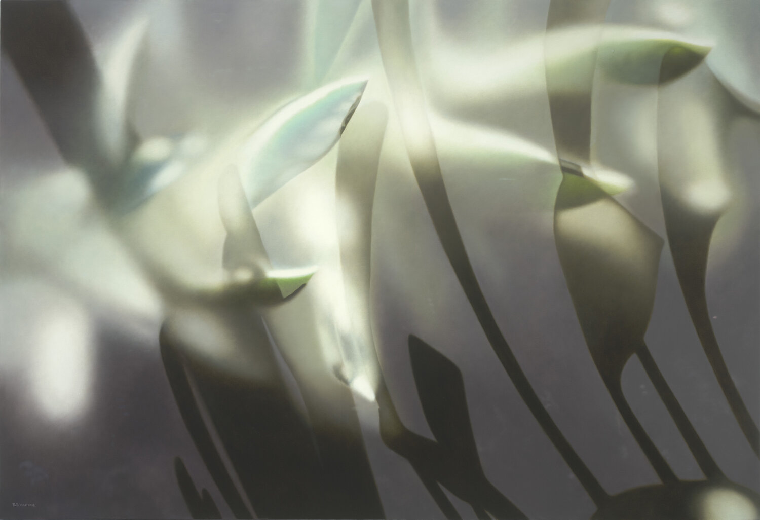 Succulent Forest Rosemary Sloot