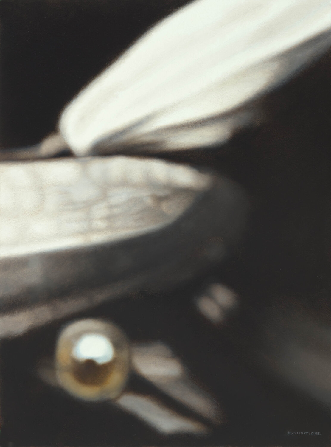 Midnight Lily Rosemary Sloot