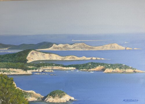 Ibiza South Coast van Wendy Williams, Schilderij te koop op Singulart