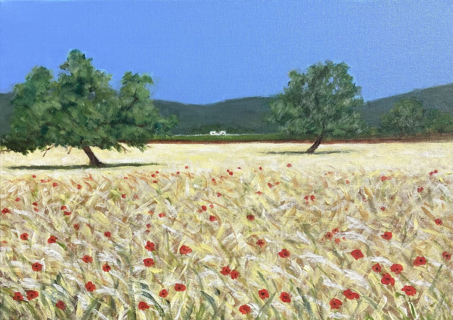 Cornfield in Ibiza Wendy Williams