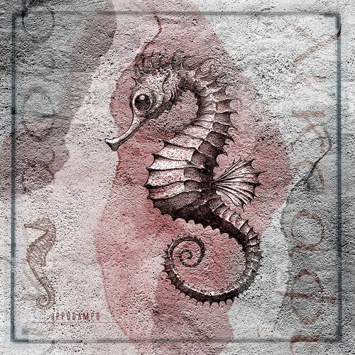 PescePalla travestito da IPPO van Paolo Marchese, Digitaal te koop op Singulart