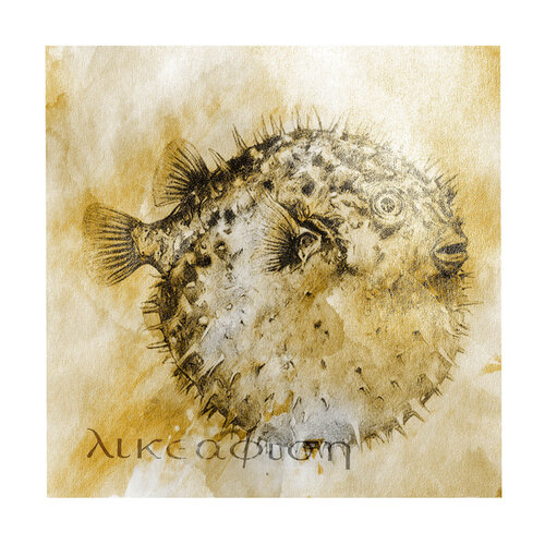 Pesce Palla delicato von Paolo Marchese, Digital kaufen auf Singulart