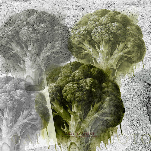 Foresta di Broccoli von Paolo Marchese, Digital kaufen auf Singulart