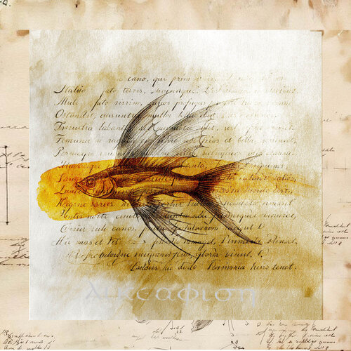 Pesce Volante by Paolo Marchese, Digital for Sale on Singulart