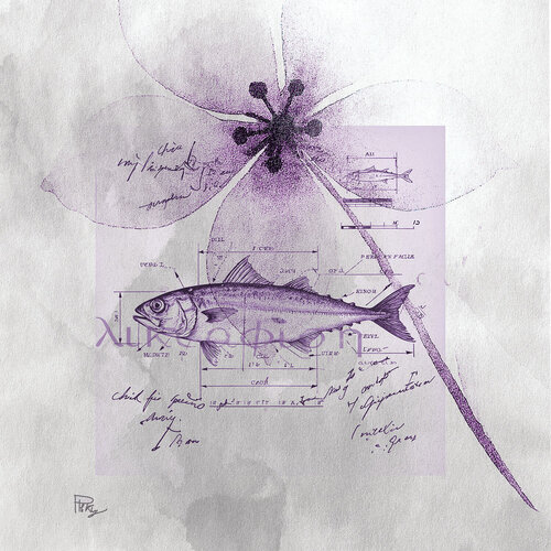 Big Flower Fish di Paolo Marchese, Digitale in vendita su Singulart