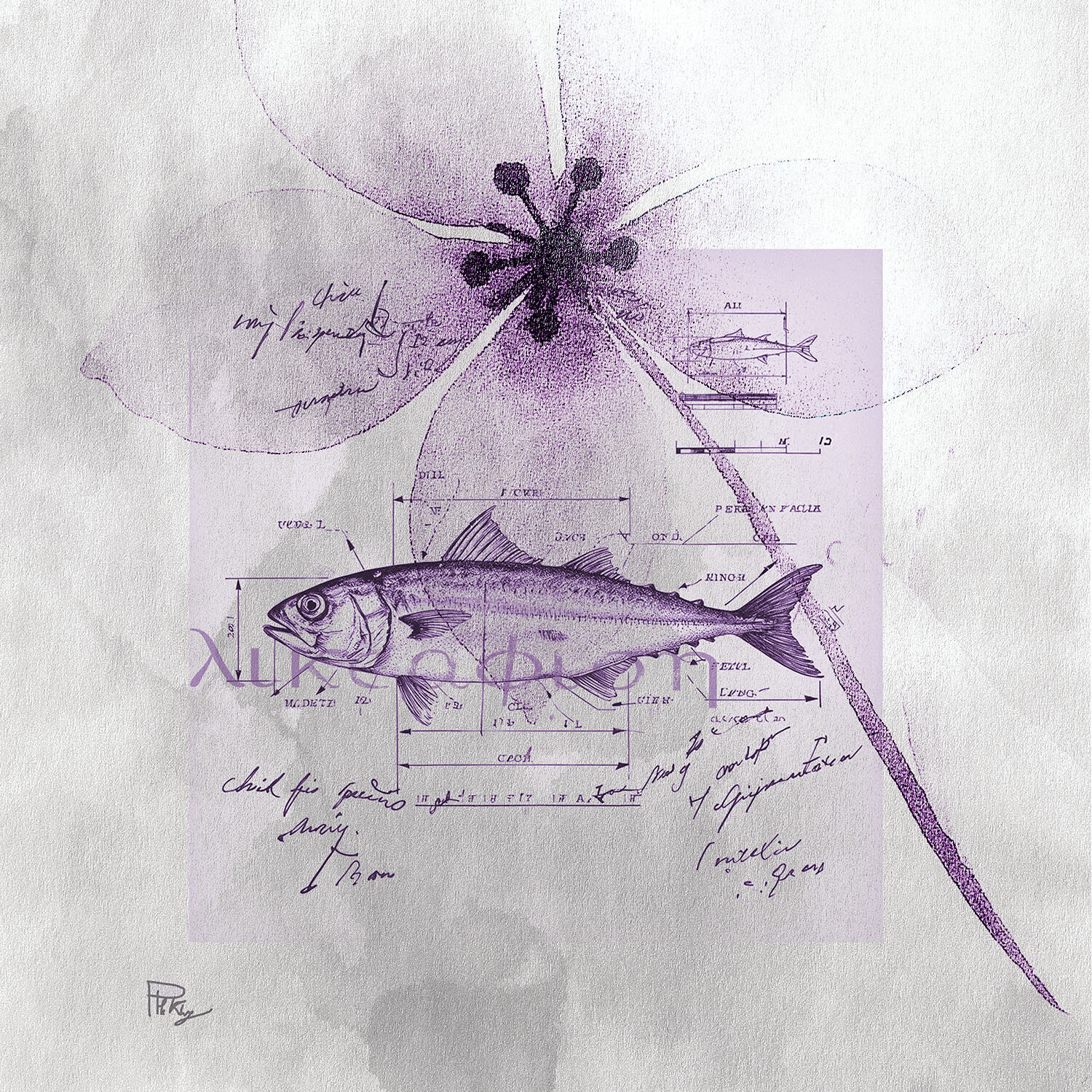 Big Flower Fish Paolo Marchese Digitale in vendita