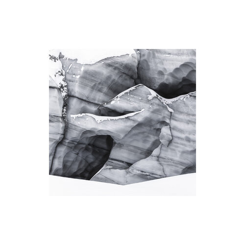 Branchies van François Aubonnet, Fotografie te koop op Singulart