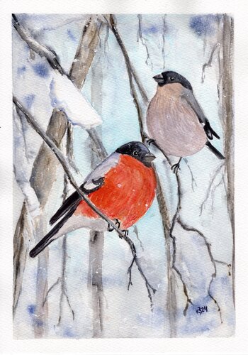 Bullfinches  from the series “Nordic Birds” by Kristin Braks, Painting for Sale on Singulart