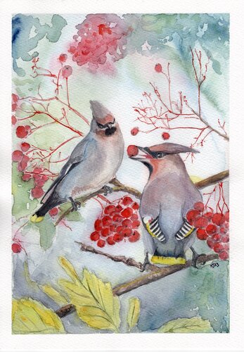 Bohemian waxwings from the series “Nordic Birds” by Kristin Braks, Painting for Sale on Singulart