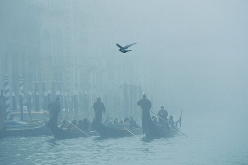 gondolas in Venice van Philippe Hervé, Fotografie te koop op Singulart