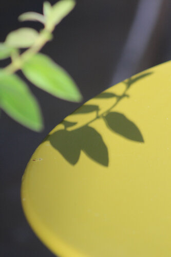 la table jaune citron van Philippe Hervé, Fotografie te koop op Singulart