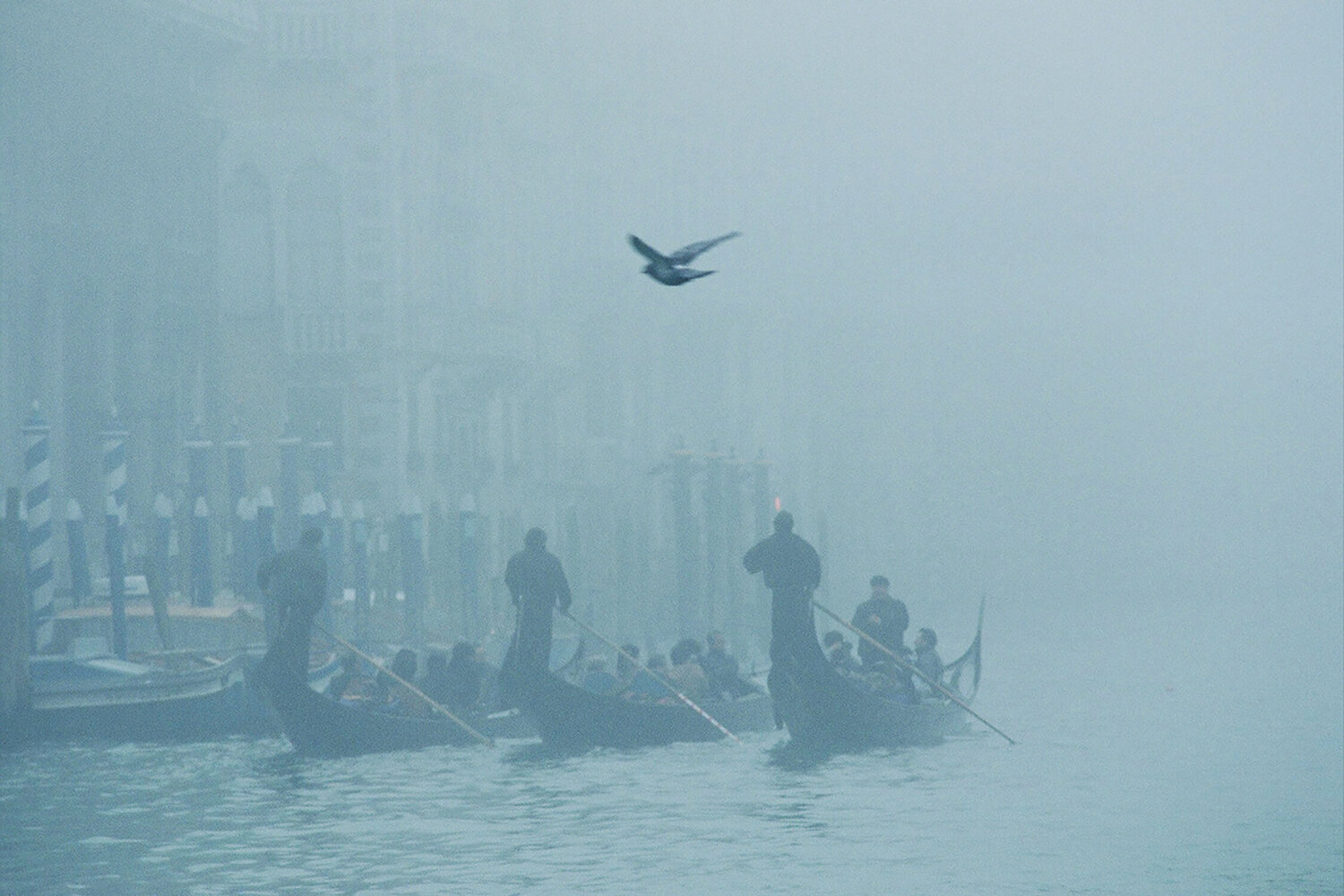 gondolas in Venice Philippe Hervé