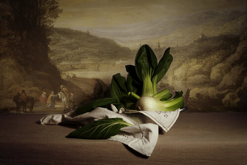 Composizione con finocchi e pak choi von Sabrina Giliberti Stea, Fotografie kaufen auf Singulart