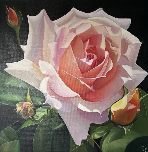 Une rose au soleil van Teya, Schilderij te koop op Singulart