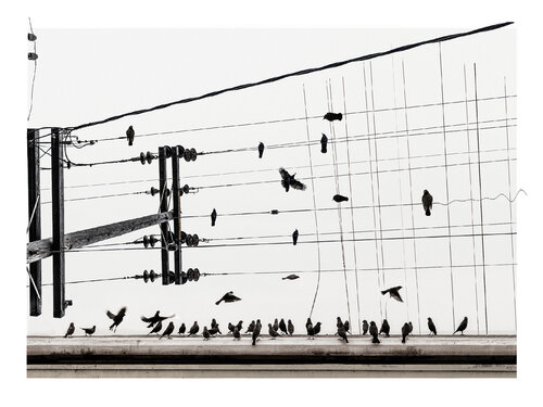 Tableau d'une exposition di Marc Aubé, Fotografia in vendita su Singulart