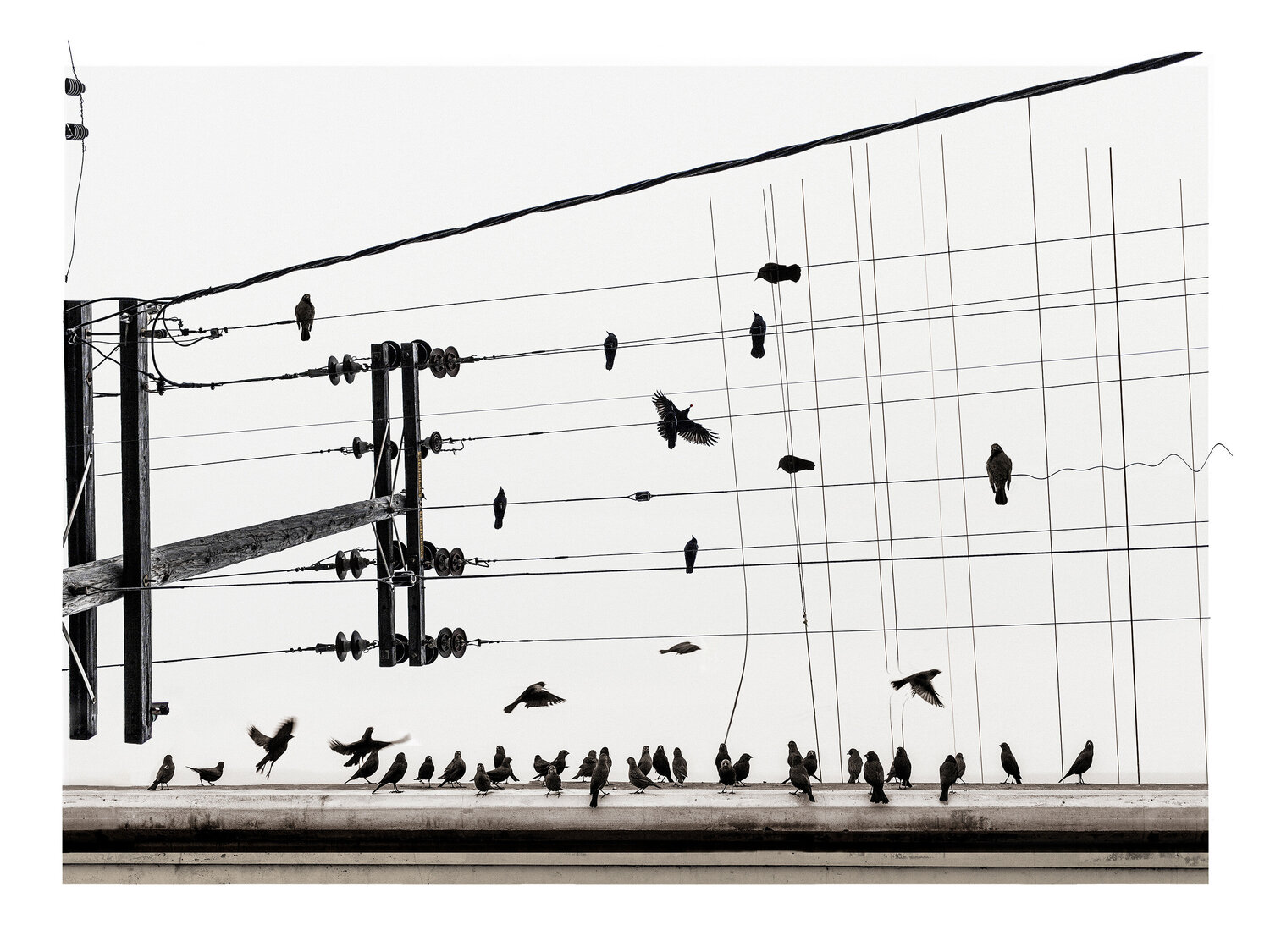 Tableau d'une exposition Marc Aubé