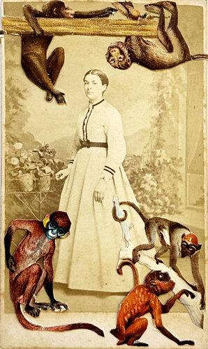 MRS DARWIN IS SICK AND TIRED OF THE MONKEY BUSINESS par Ariane Severin, Œuvre sur papier en vente sur Singulart