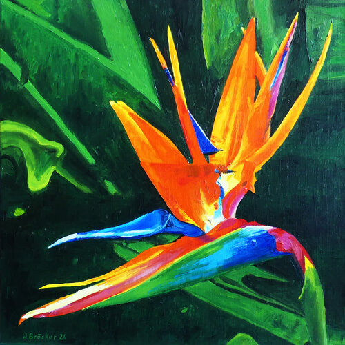 Oiseau de paradis de Werner Bröcker, Pintura a la venta en Singulart